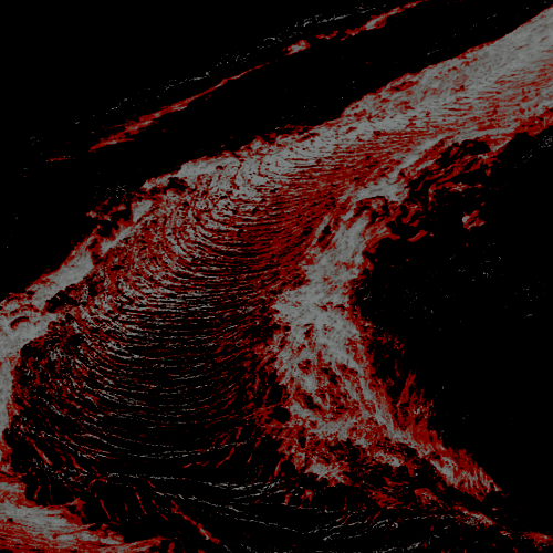 Demon hunting 12.9.2020