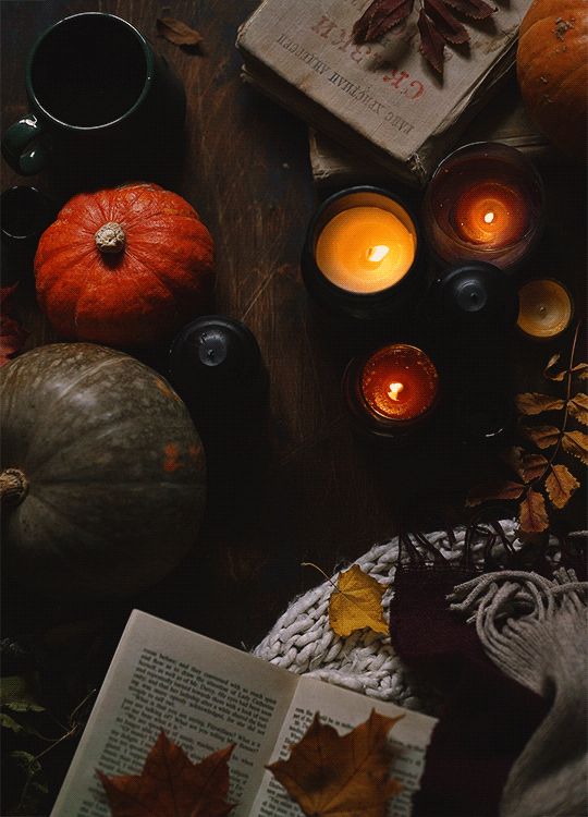 Vyrezávanie Tekvíc - 13.10.2023