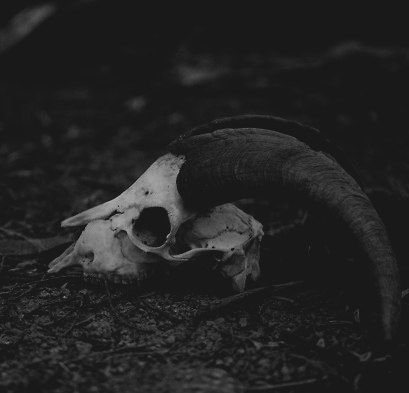 0bc38baec06605bd6be53a64b71b1ac1