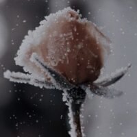 0d33a72caf23a1286fee0401d5644788 