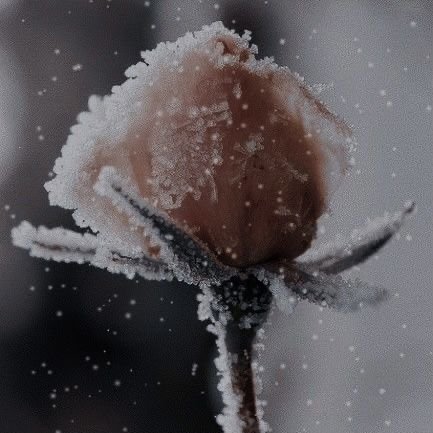 0d33a72caf23a1286fee0401d5644788