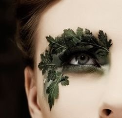 162f1a57f9c018df2c0ce80e914ba324