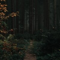 403e0b5e1624912a5b0aa89044a1bdcf 