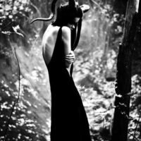 ba56c91bfe499835476af7a4677245ae 