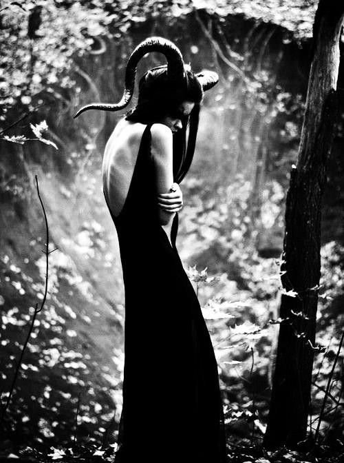 ba56c91bfe499835476af7a4677245ae