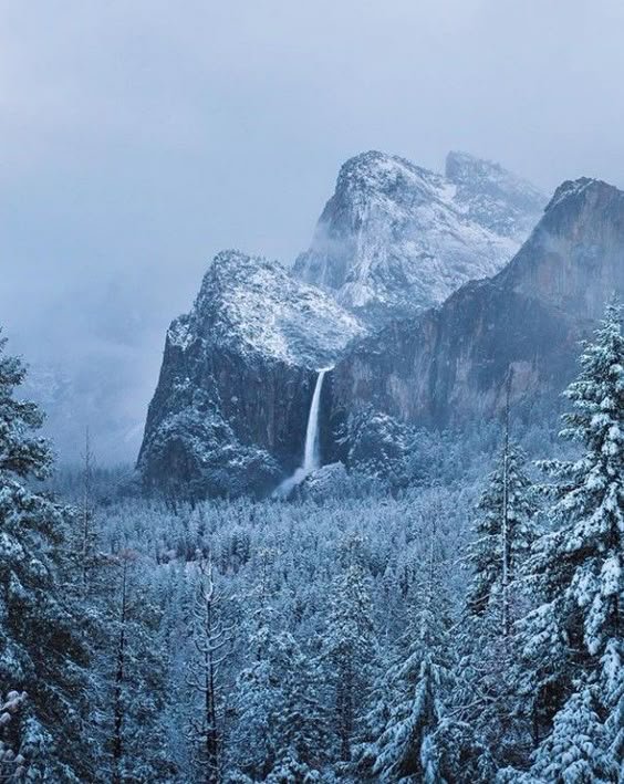 c7f453efe508202deb7ce3a8da88302a