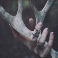 f88ca9f45e0be6e8926f1ae868ce21d6 