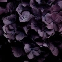 faeb8ca4003494d8f5e7afbb9f54d243 