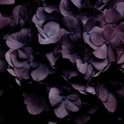 faeb8ca4003494d8f5e7afbb9f54d243