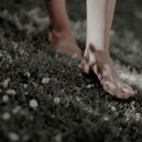 fdf0fc95230b62beb665d26f57daa15d 