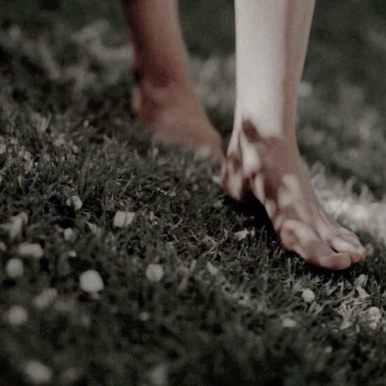 fdf0fc95230b62beb665d26f57daa15d