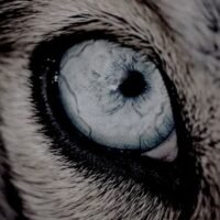 4ea79554e93ba1664aa32b1b1f0dbfb7 