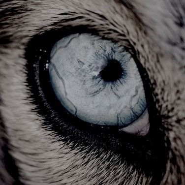 4ea79554e93ba1664aa32b1b1f0dbfb7