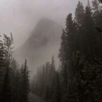 15c05dd56c8a36d9c3724027ca2b7dd5 