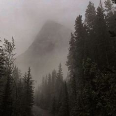 15c05dd56c8a36d9c3724027ca2b7dd5