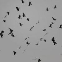 745677bc746fe4576a78894c560b9c66 