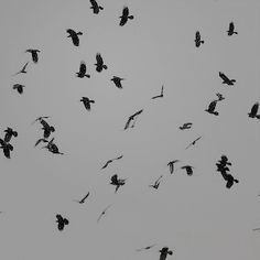 745677bc746fe4576a78894c560b9c66