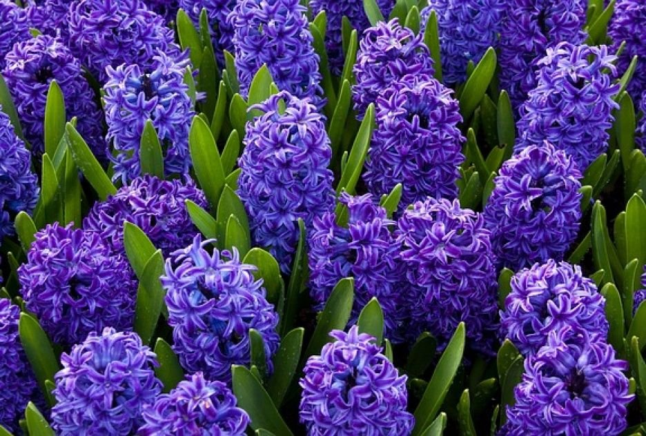 35. Demon-daddy-hint-2