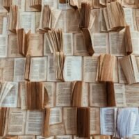 2cc9fa7c423b2265941eb6f145f9bbf2 