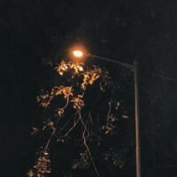 422d4c21-5992-4ce3-a1f0-0f2de96603fd 