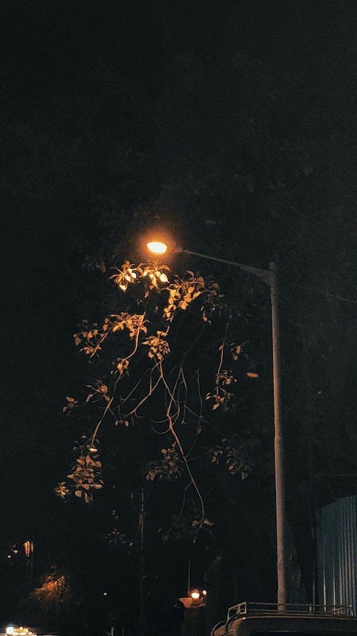 422d4c21-5992-4ce3-a1f0-0f2de96603fd