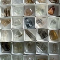 81b55ae8-3617-46d1-b64c-3b9d36621947 