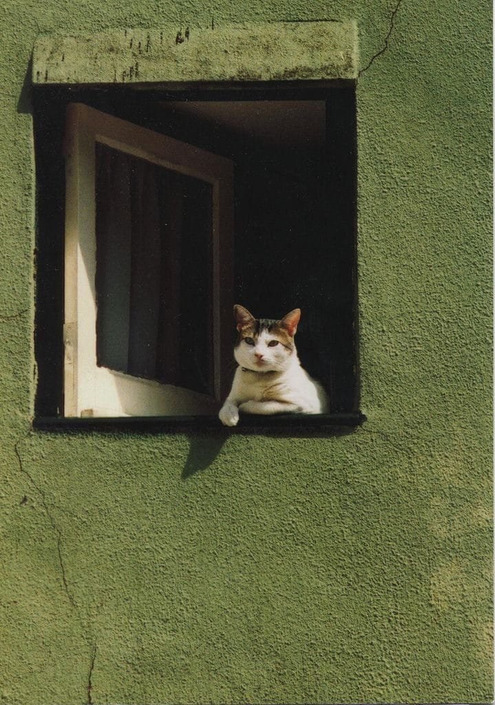 61A96033-C9C0-447A-81BB-32D85A762400