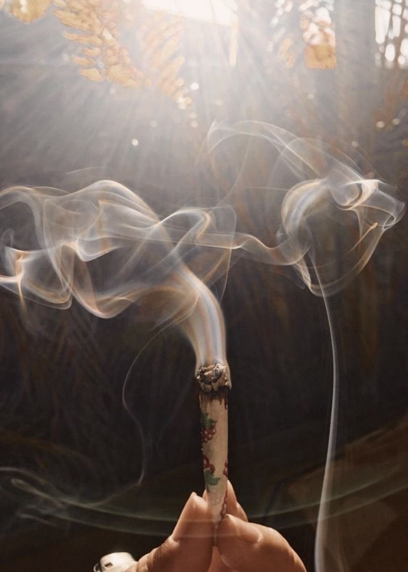 F6303FBE-0655-45F1-A85B-B4BC8FC2ED17