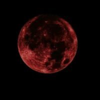 Tay – galerie – 04 