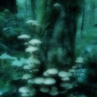 1cc2682823f4ae0ecac9acfbb57d5925 