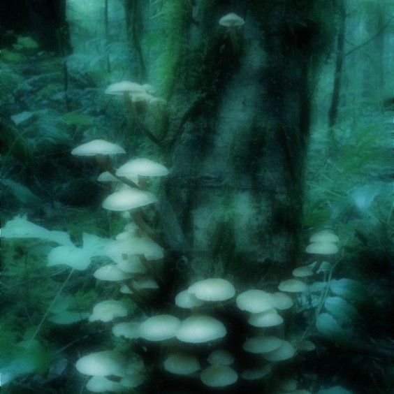 1cc2682823f4ae0ecac9acfbb57d5925