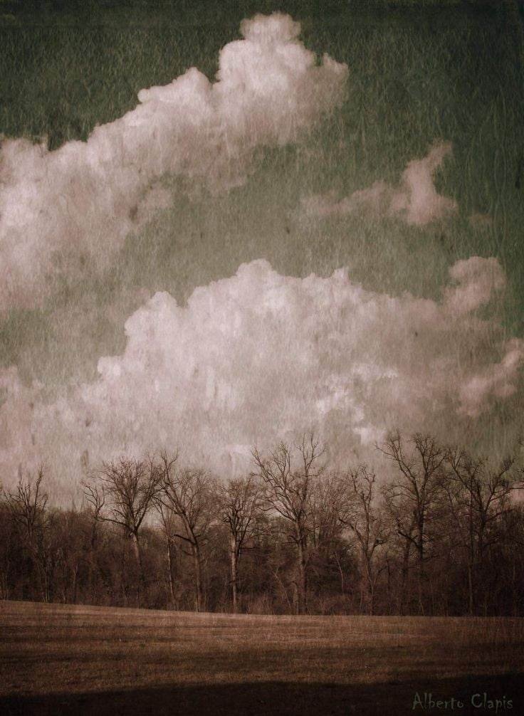 363442131_294432323079017_4728327878247467660_n