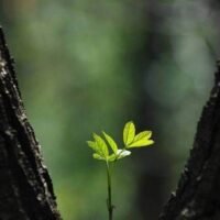 363487660_300413692366572_9138240822896547669_n 