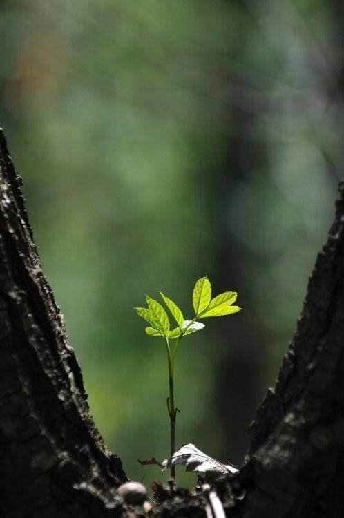 363487660_300413692366572_9138240822896547669_n