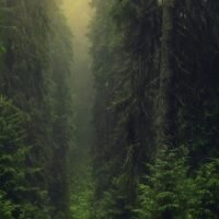 3c2e5cdbe8aa87a64188624c9a3e1392 