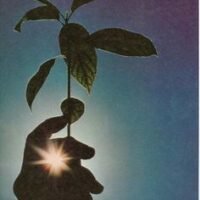 625554d795bba083003437fad3e1293c 