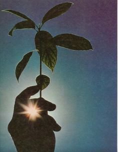 625554d795bba083003437fad3e1293c