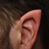 69a5035ef80b2ccdf6bb87a634838318 