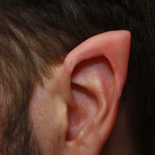 69a5035ef80b2ccdf6bb87a634838318