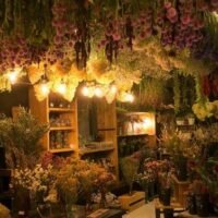 8d10cf162f26d496604b8c982f92f7c0 