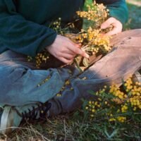 994e04b51faa643b8474477b1bbb9281 