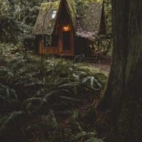 ae2aa722bff768661c049cb34441751d 