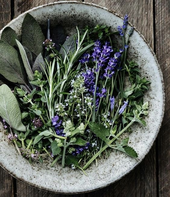 afa6424939c8f8bbe18e89d27398dc33