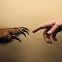 c533937ffc1dd01542f49f123763d27f 