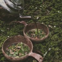 c5431c44119e76875791e7ce68f9ba92 