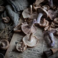 d6d5ff39ca0bfeac15c05b1bc88066a4 