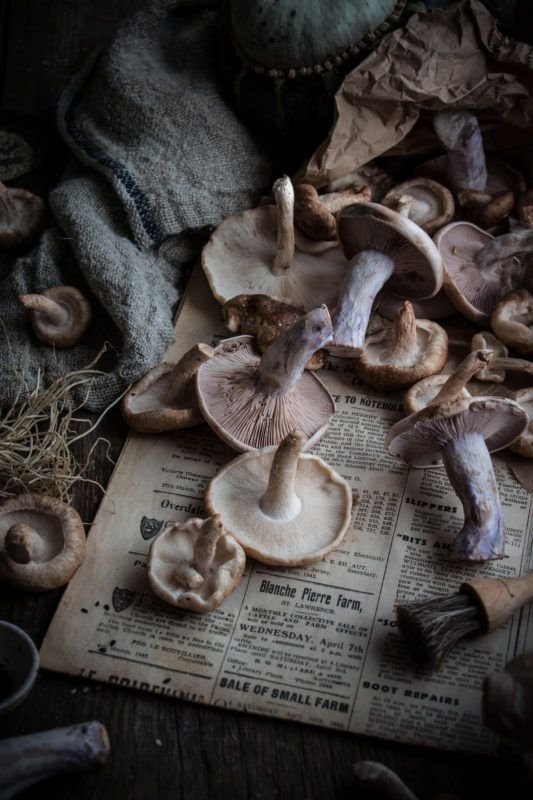 d6d5ff39ca0bfeac15c05b1bc88066a4