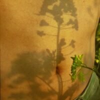 e6145cfe995ef803315c01b4c94c9344 