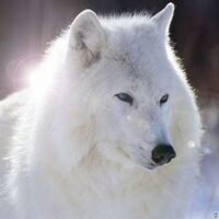 OIP – 2023-06-27T075414.802 