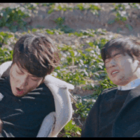 426efe6b3ff42bc94d76c27c2f525baa 